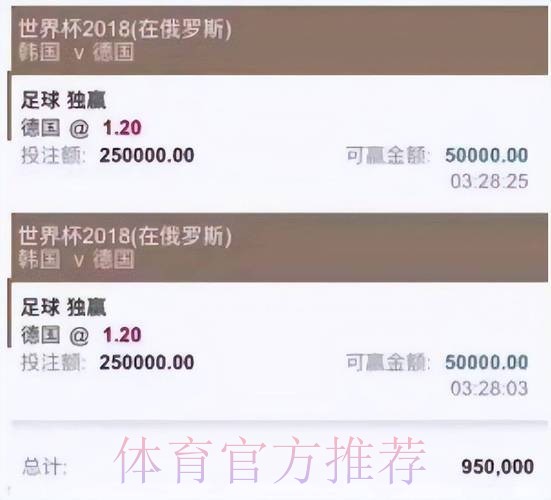 世界杯投注平台精选与最新网址深度解析 世界杯投注平台精选与最新网址深度解析